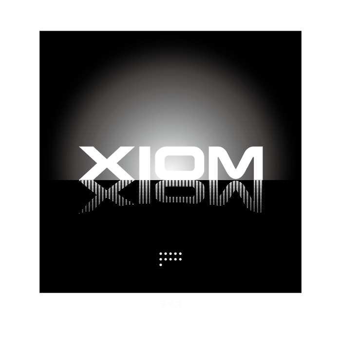 XIOM ラバー保護シート(吸着タイプ) ライズ